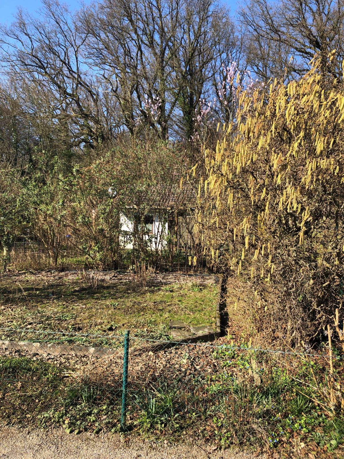 34+ Kleingärten Karlsruhe Freie Gärten, Am besten schauen sie