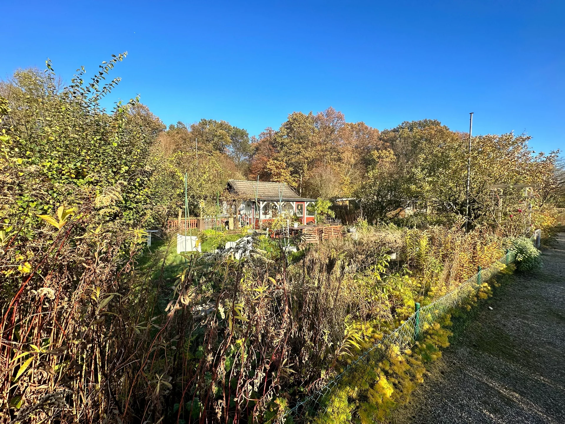 Kleingärtnerverein Grafschaft e.V. seit 1978 Freie Gärten